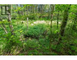 5609 Line 4 N, Oro Medonte, ON L0K1N0 Photo 9