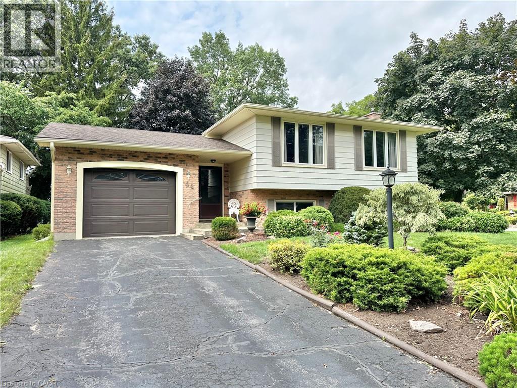 44 DOUGLAS Avenue - 1