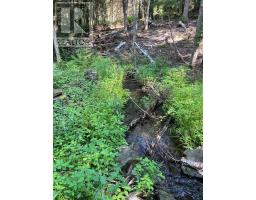 1992 Smith Road, Frontenac, ON K0H1C0 Photo 9