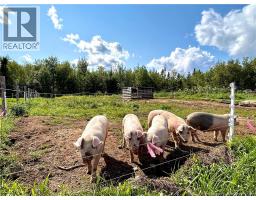 64 Ch. Lebranche, Baie Sainte Anne, NB E9A1M4 Photo 14