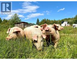 64 Ch. Lebranche, Baie Sainte Anne, NB E9A1M4 Photo 15