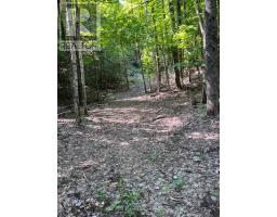 1992 Smith Road, Frontenac, ON K0H1C0 Photo 12