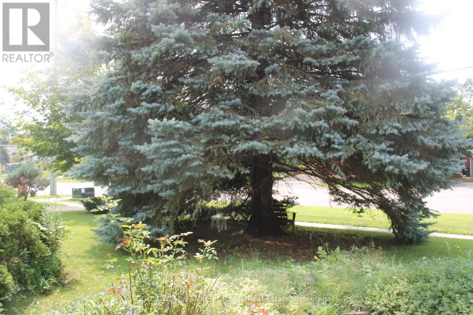 291 ANNE STREET N - Image 28