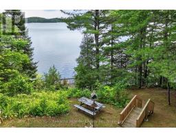 1620 Lewis Road, Highlands East, ON K0L1C0 Photo 40