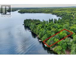 1620 Lewis Road, Highlands East, ON K0L1C0 Photo 41