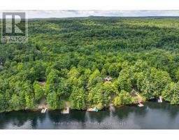 1620 Lewis Road, Highlands East, ON K0L1C0 Photo 42
