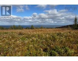 Lot (pid 01290402) Highway 337, Cape George Point, NS B2G2L2 Photo 10