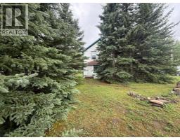 5105 Valley Street, Robb, AB T0E1X0 Photo 10