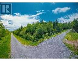 Banks Road, Broad Cove Banks, NS B0E1N0 Photo 9
