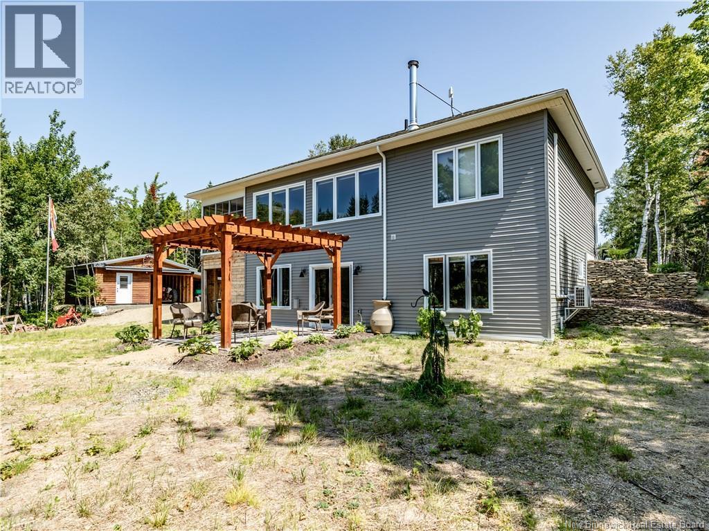 32 Allee Lion - Image 4