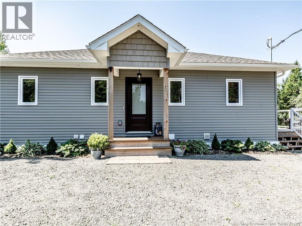 32 Allee Lion - Image 9