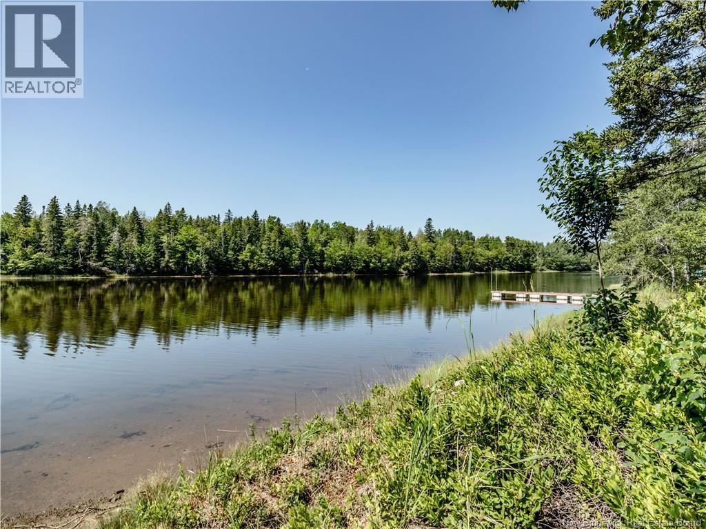 32 Allee Lion - Image 7