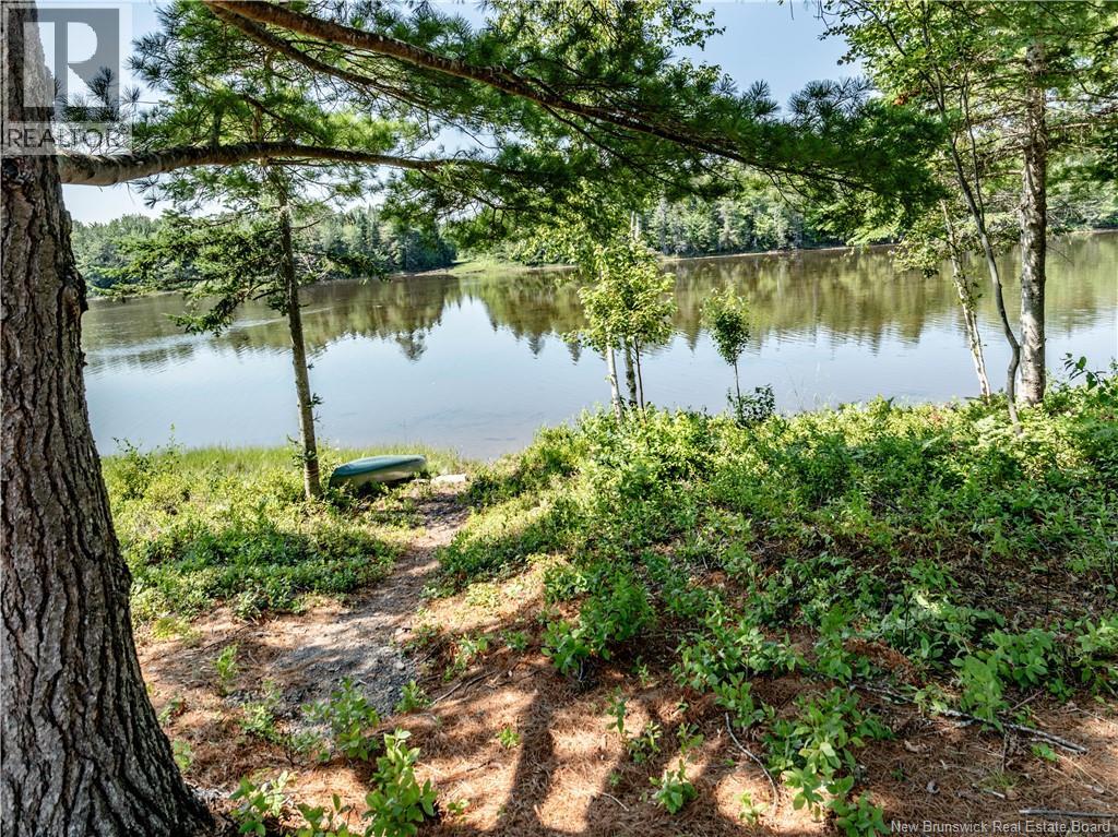 32 Allee Lion - Image 5