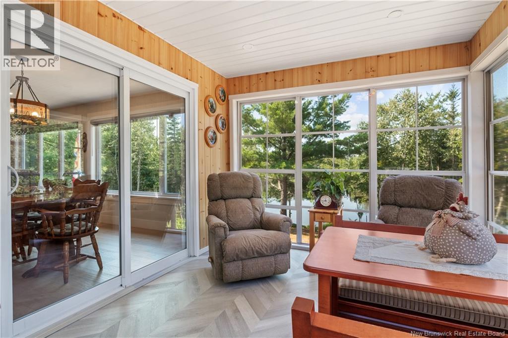 32 Allee Lion - Image 23