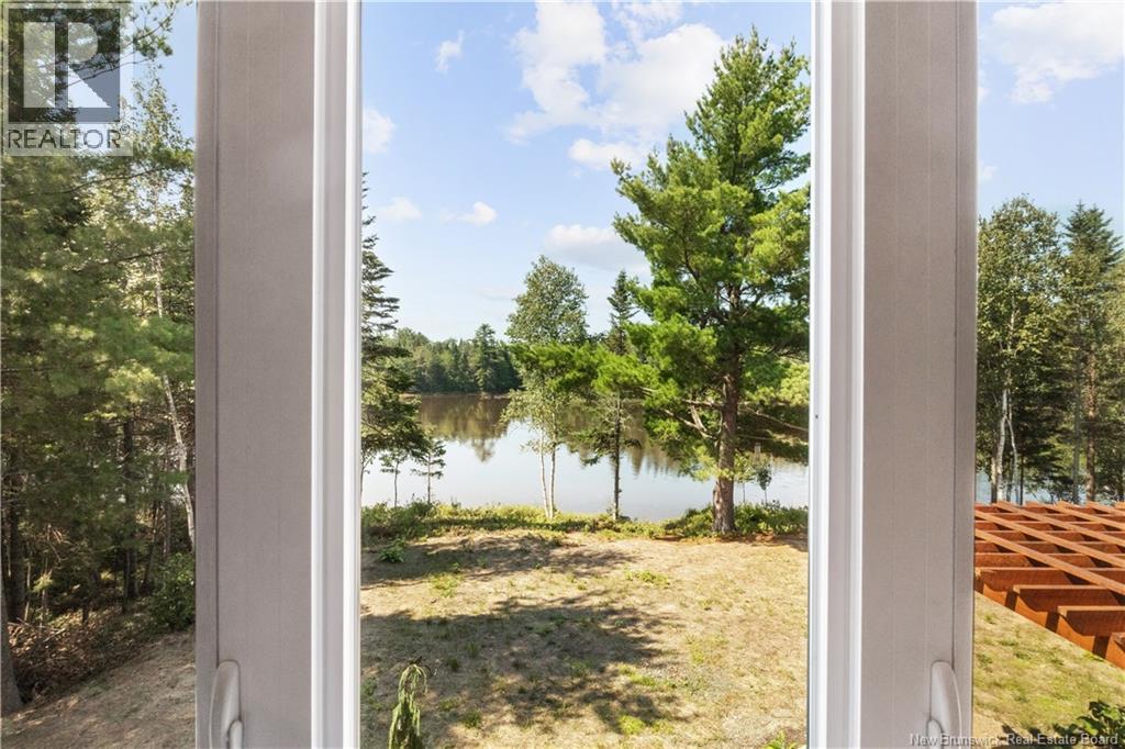 32 Allee Lion - Image 25