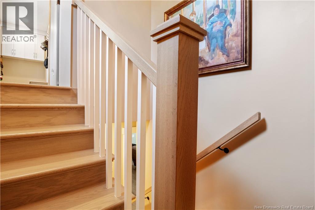 32 Allee Lion - Image 32