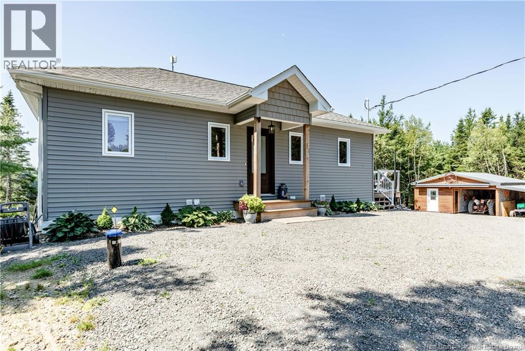 32 Allee Lion - Image 8