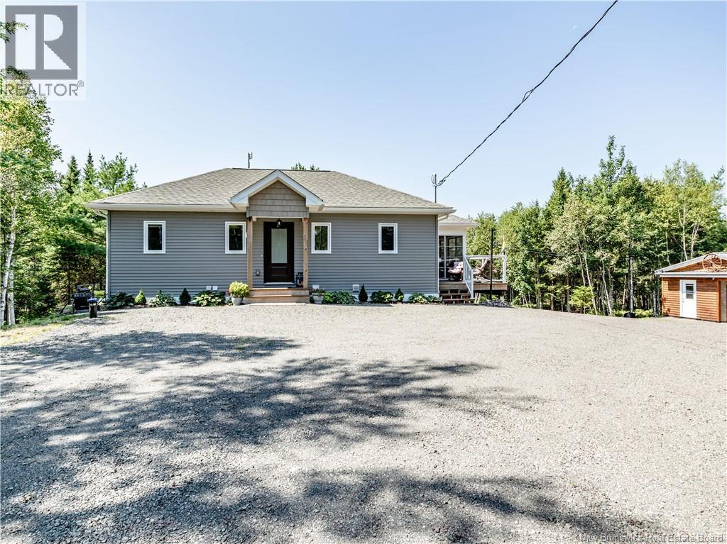 32 Allee Lion