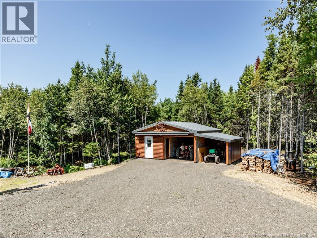 32 Allee Lion - Image 46