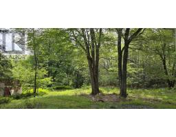 83 Samuel Oickle Road, West Clifford, NS B4V8J2 Photo 39