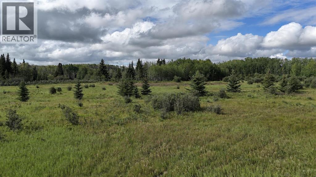 520001 TWP RD 722A - Photo 11