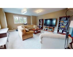 Games room - 4810 Donsdale Dr Nw, Edmonton, AB T6M2N2 Photo 16