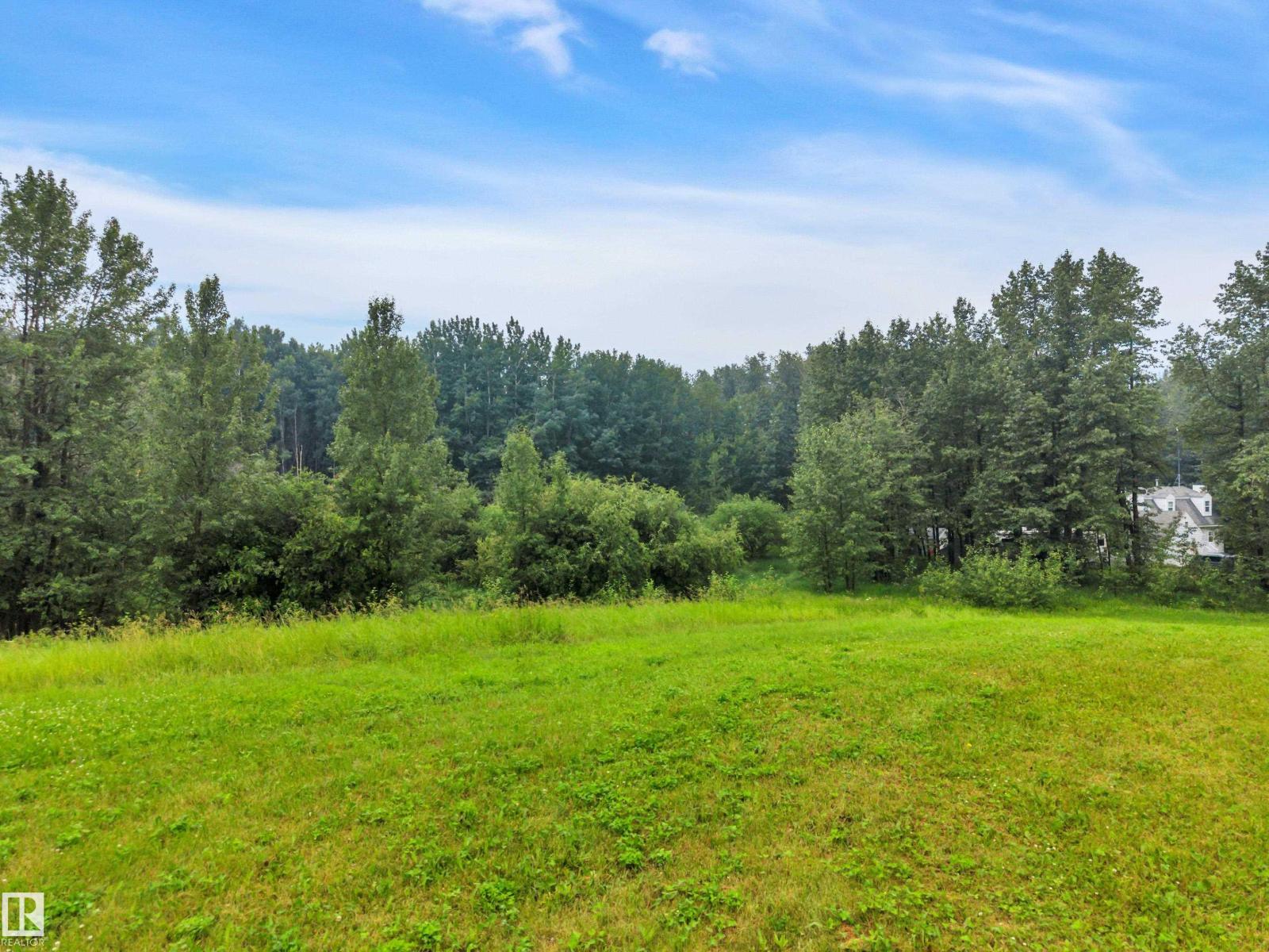 40 54120 RGE ROAD 12 - Photo 5