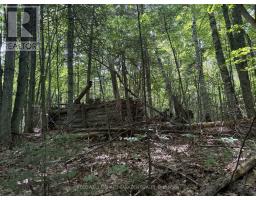 00 Canaan Road, Mcnab/braeside, ON K7V3Z4 Photo 10