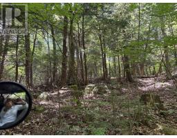 00 Canaan Road, Mcnab/braeside, ON K7V3Z4 Photo 12