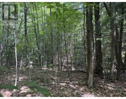 00 Canaan Road, Mcnab/braeside, ON K7V3Z4 Photo 13