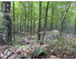 00 Canaan Road, Mcnab/braeside, ON K7V3Z4 Photo 16