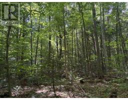 00 Canaan Road, Mcnab/braeside, ON K7V3Z4 Photo 8