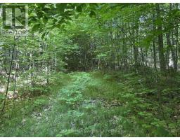 00 Canaan Road, Mcnab/braeside, ON K7V3Z4 Photo 9
