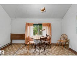9334 106a Av Nw, Edmonton, AB T5H0S7 Photo 45