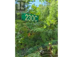 230 Lake Road, St  Charles, ON P0M2W0 Photo 57
