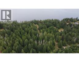 Lot 2 Dempsey Rd, Gabriola Island, BC V0R1X2 Photo 13