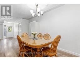 127 Carson Drive, Kitchener, ON N2B2Z4 Photo 14