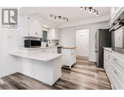 127 Carson Drive, Kitchener, ON N2B2Z4 Photo 15