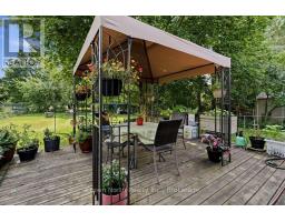 127 Carson Drive, Kitchener, ON N2B2Z4 Photo 48