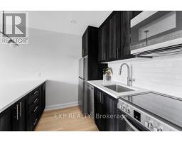 201 - 658 Somerset Street W, Ottawa, ON K1R5K4 Photo 9