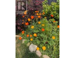 742649 Sideroad 4b, Chatsworth, ON N0H1G0 Photo 37
