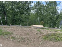 #4 60203 Range Road 164, Rural Smoky Lake County, AB T0A3C0 Photo 19