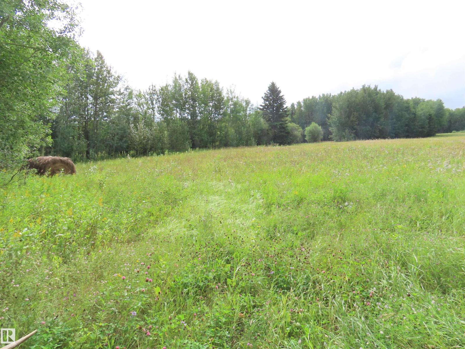 2217 Township 560 - Photo 25