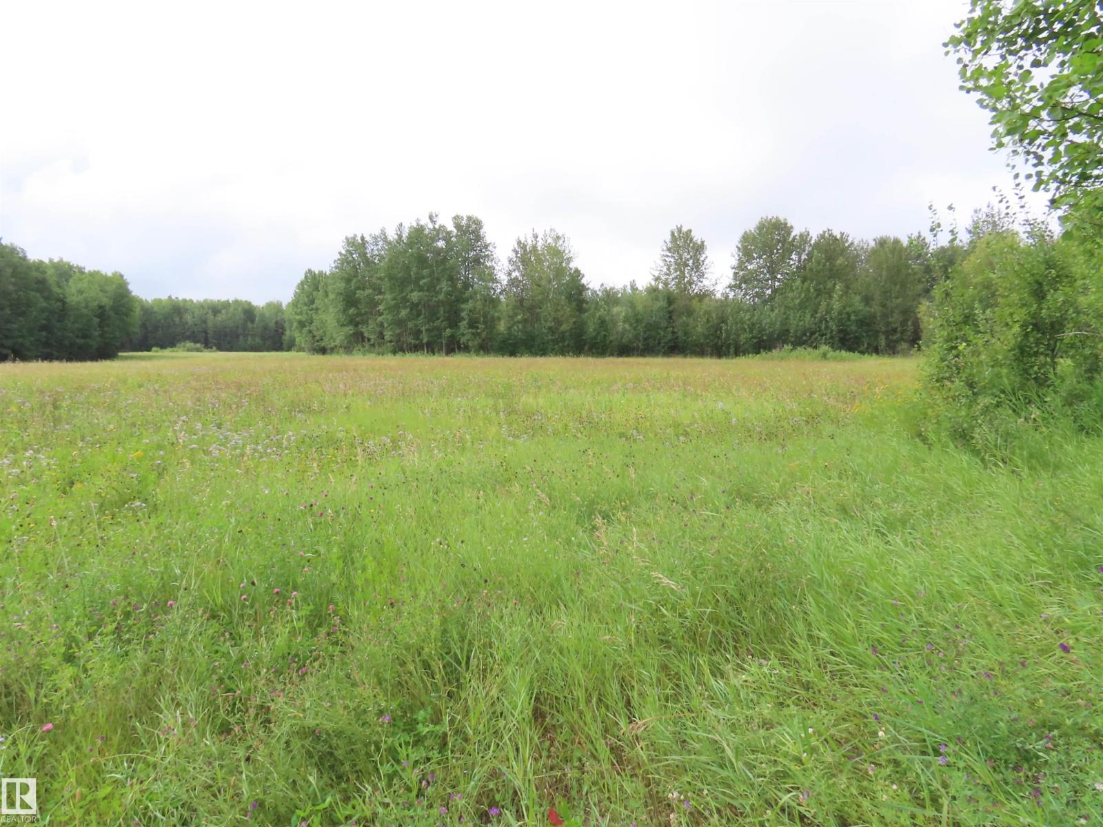 2217 Township 560 - Photo 26