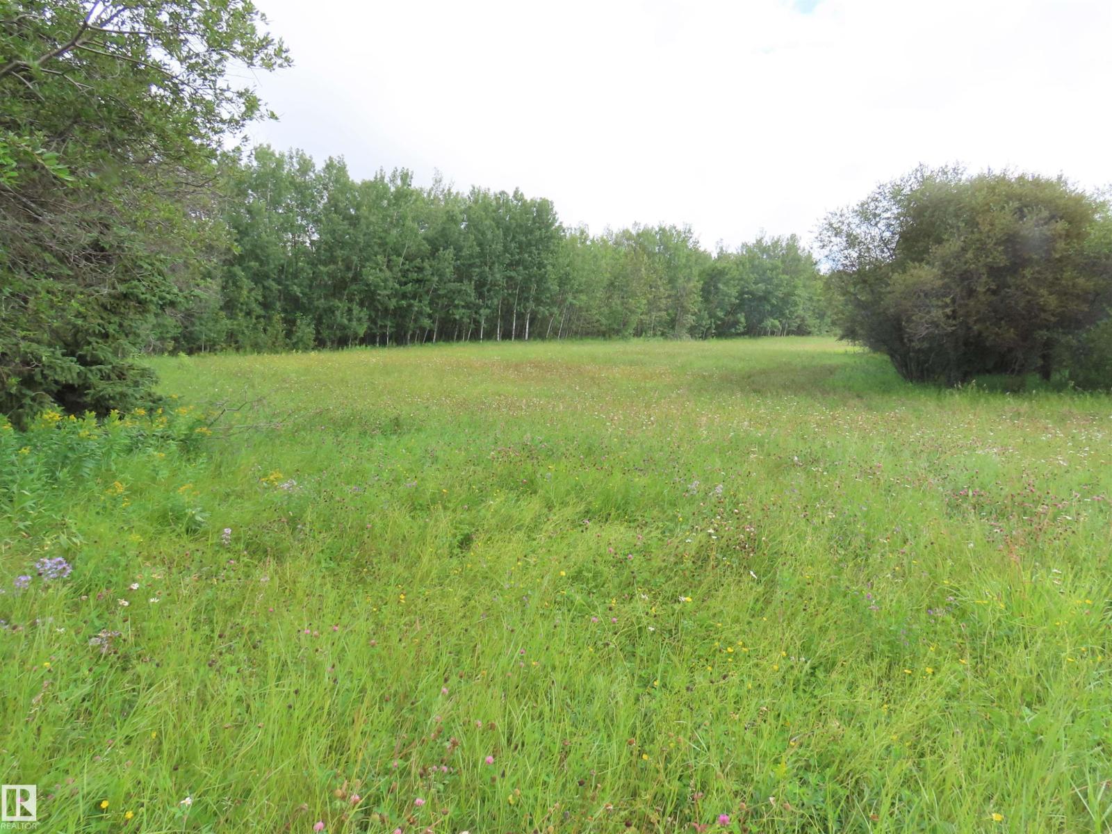 2217 Township 560 - Photo 30