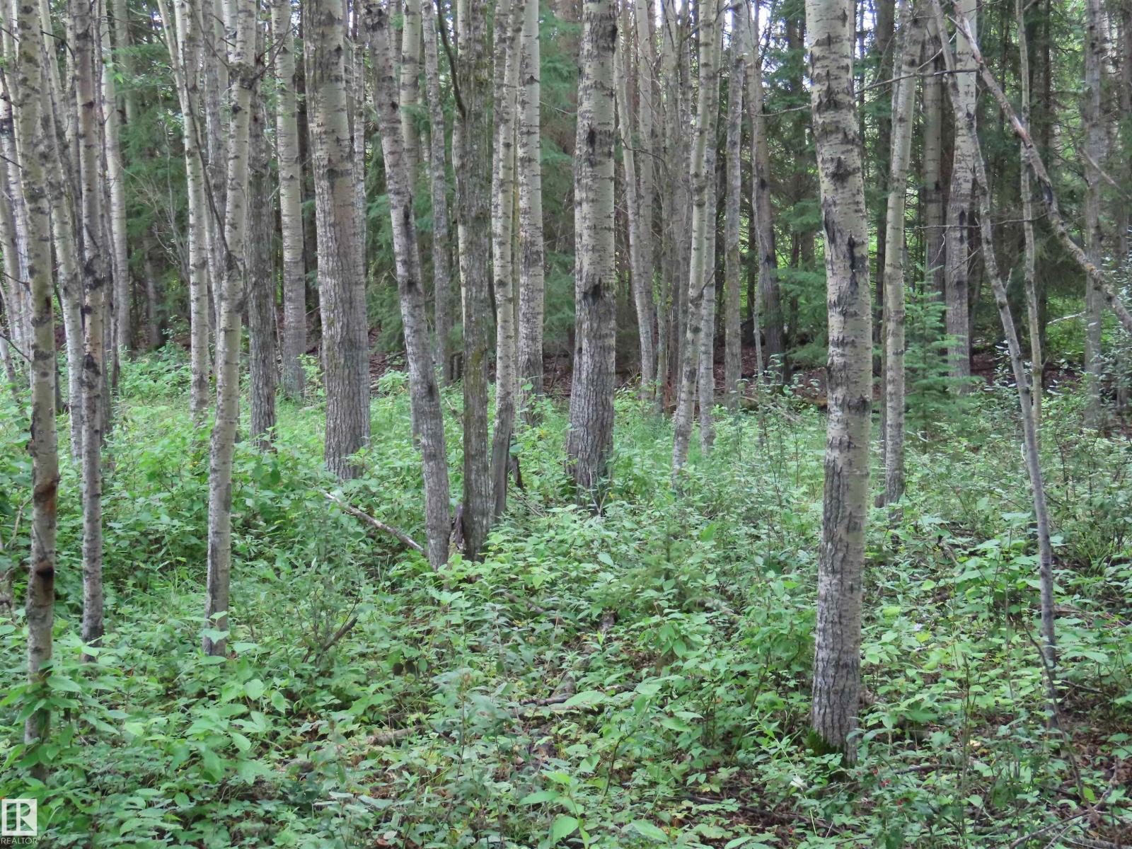 2217 Township 560 - Photo 33