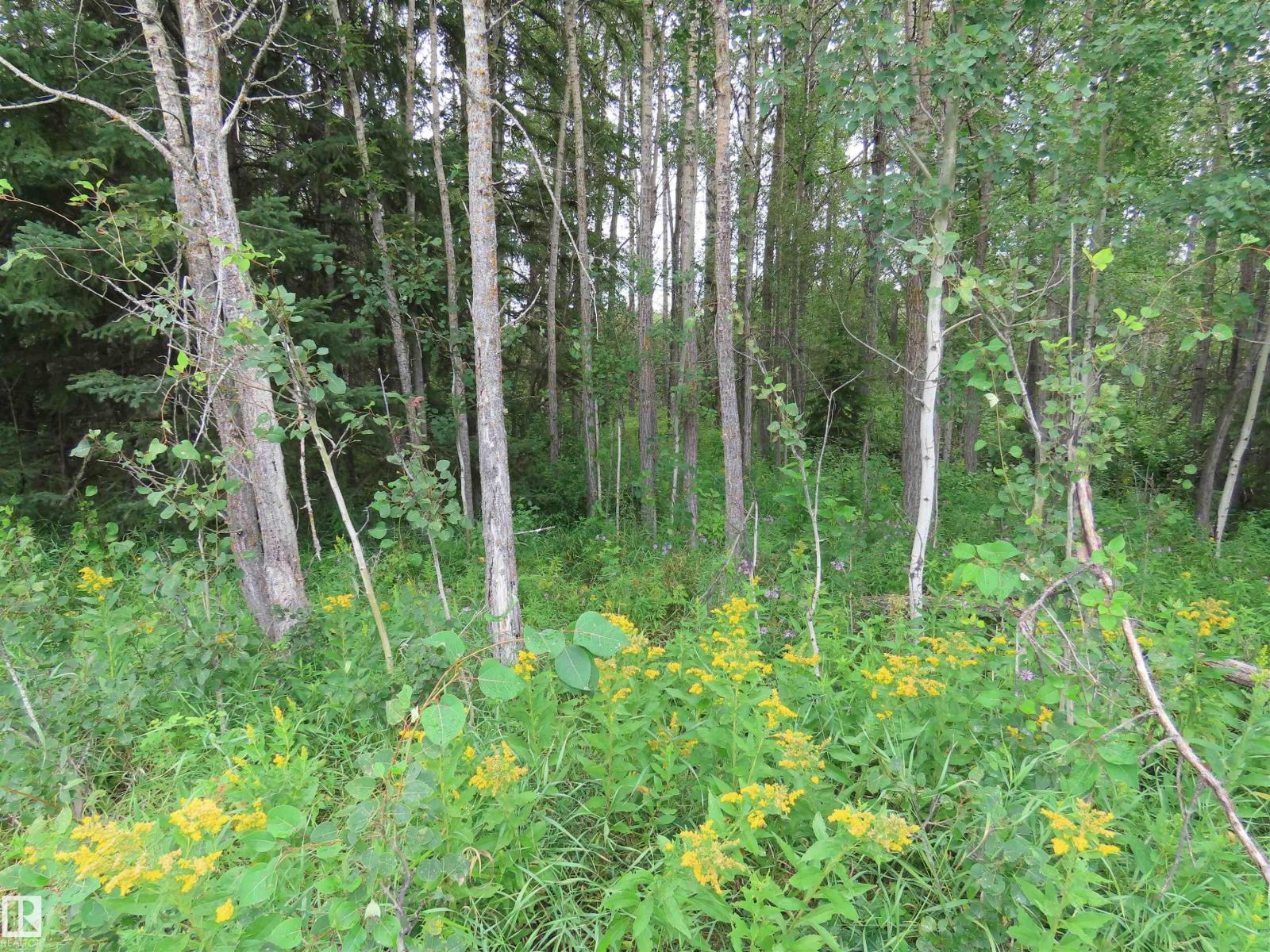 2217 Township 560 - Photo 36