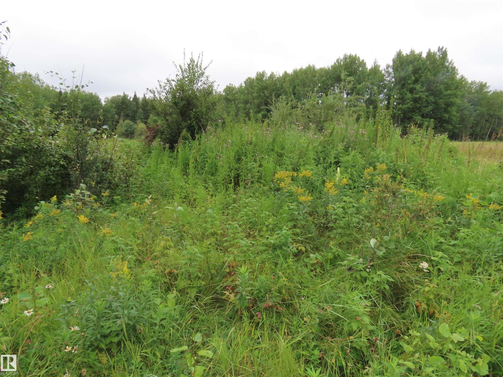 2217 Township 560 - Photo 37