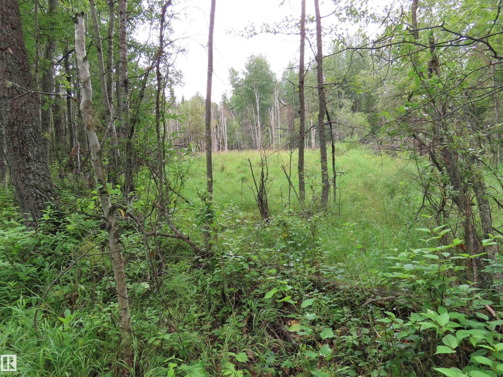 2217 Township 560 - Photo 44
