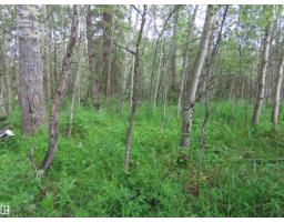 2217 Township 560, Rural Lac Ste  Anne County, AB T0E1V0 Photo 10